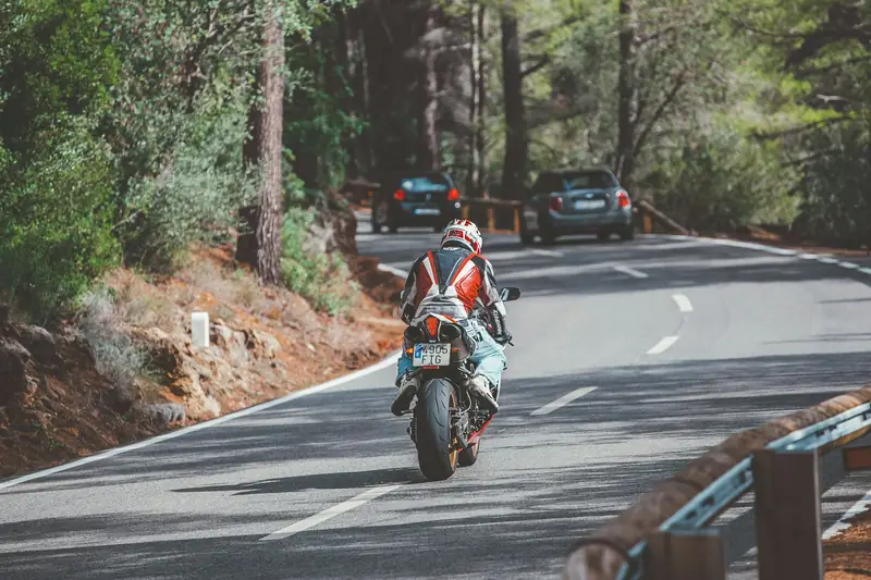 Motorista por una carretera entre pinos