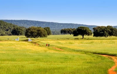 Descubre la ruta de las dehesas en Extremadura: Un viaje entre naturaleza y cultura