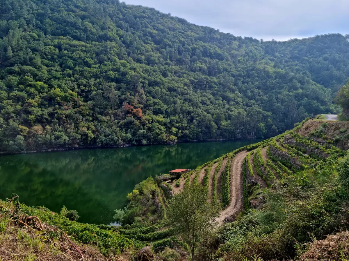 Ribeira Sacra Gallega