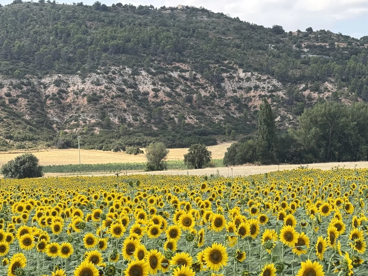 Ruta en moto por La Alcarria