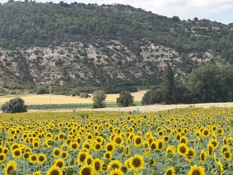 Ruta en moto por La Alcarria