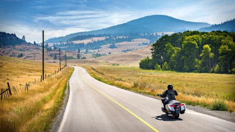 Sierra de Madrid y Navafría