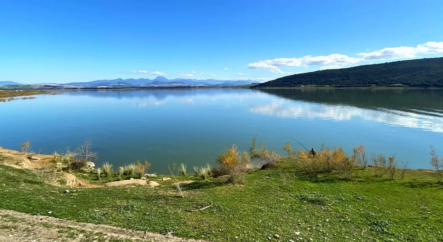 Cádiz, Bornos y el Bosque
