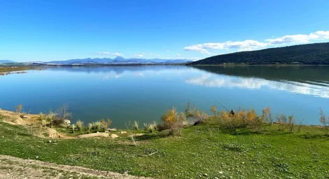 Cádiz, Bornos y el Bosque